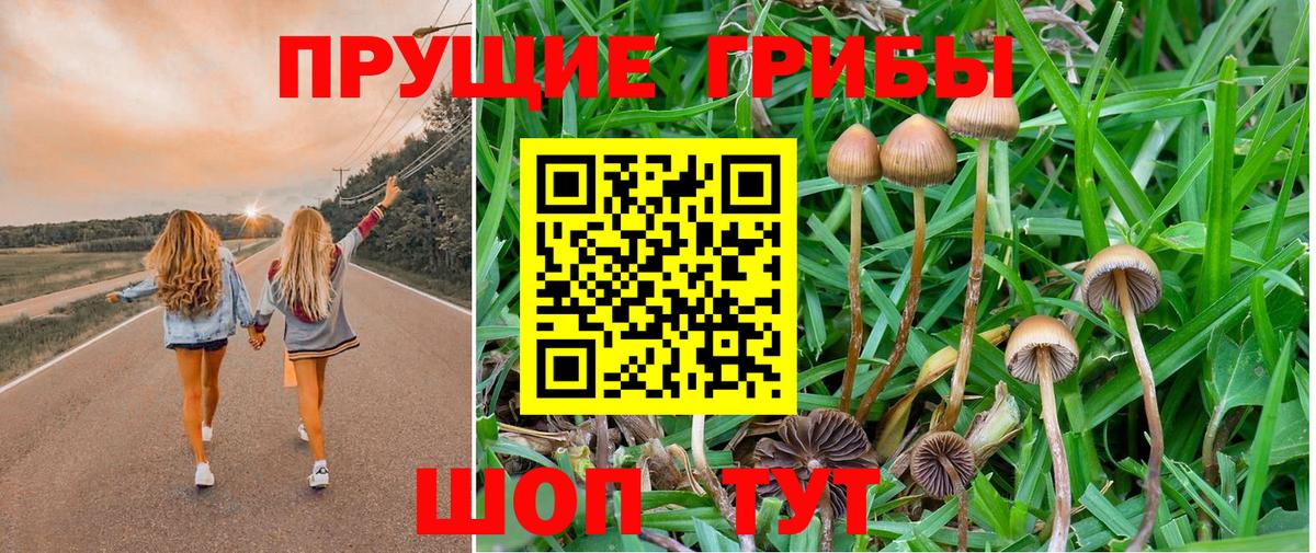 Псилоцибиновые грибы мухоморы Туапсе