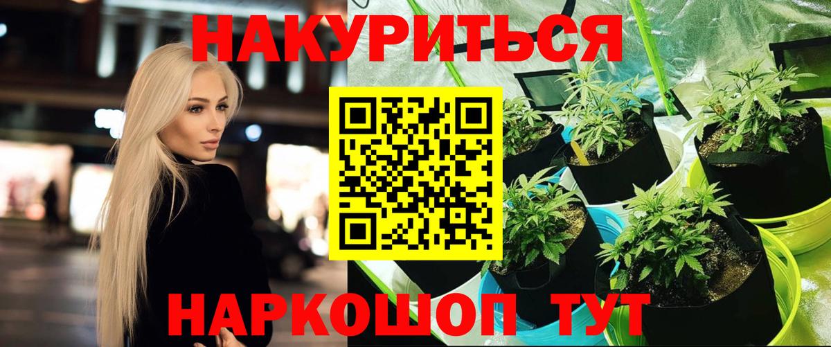 Бошки марихуана SATIVA & INDICA Туапсе